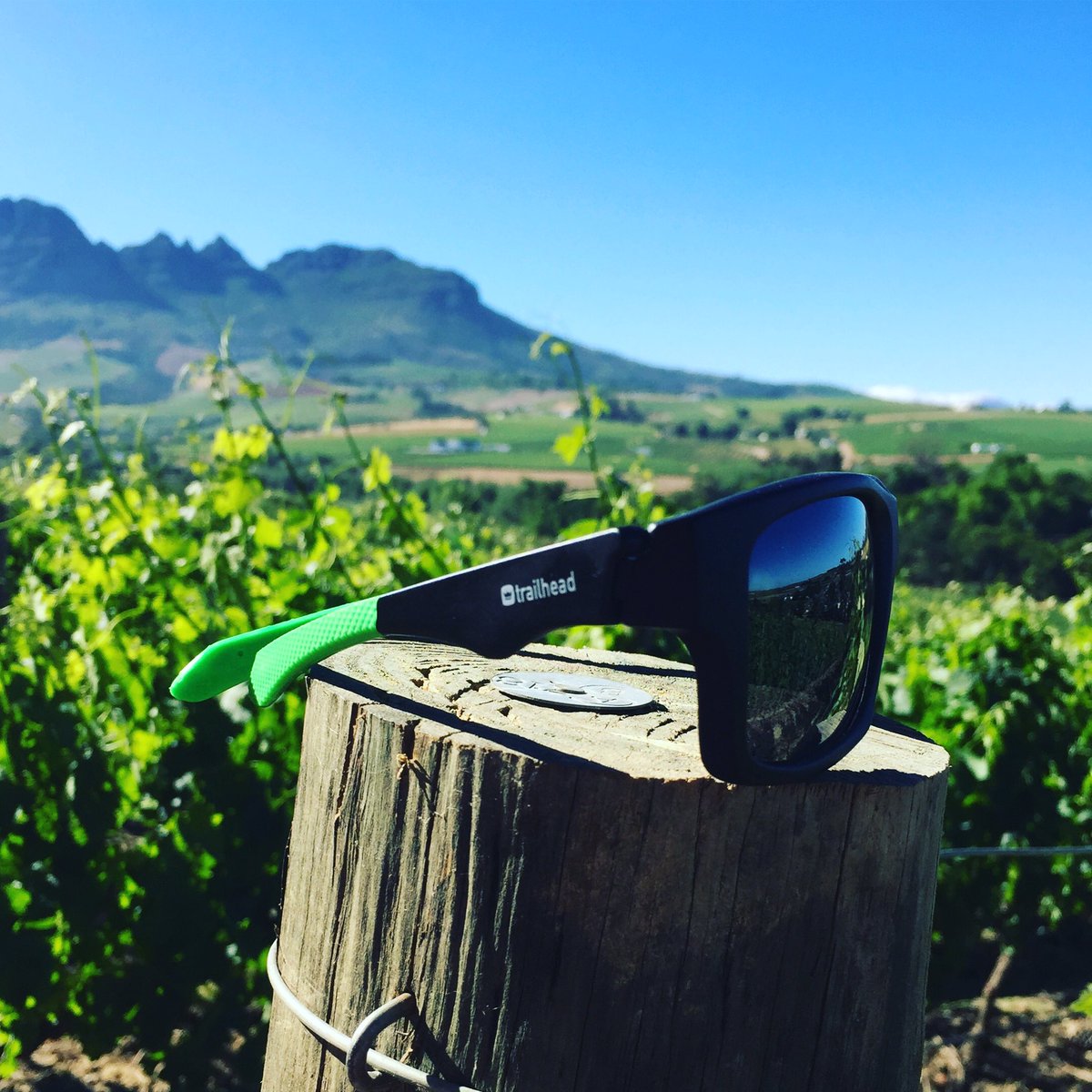 trailhead tweet media