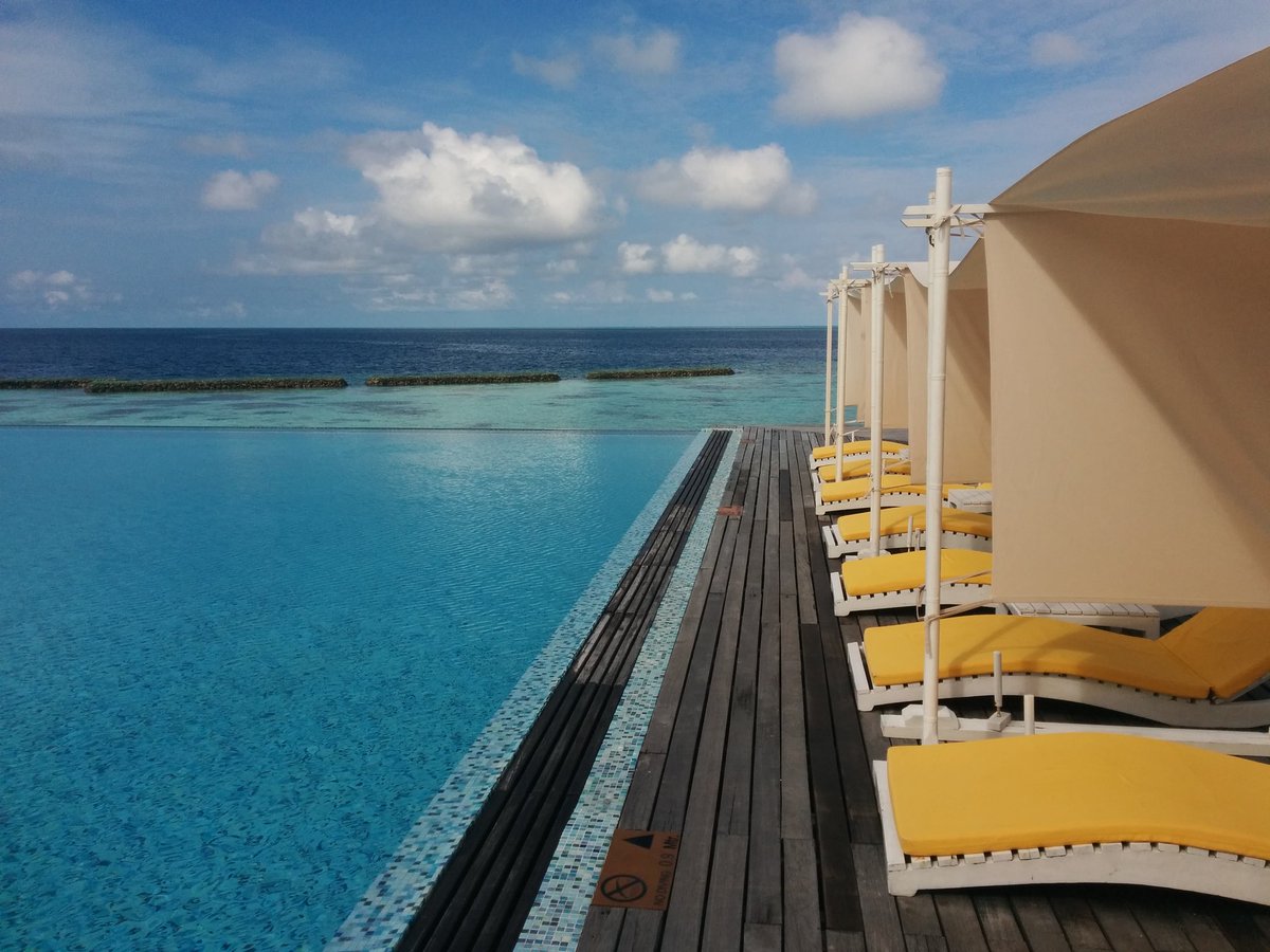 cafeytren's tweet photo. Momento ideal para refrescarse en la piscina infinita del Coco Bodu en Maldivas #maldivasFTB #cocomoments https://t.co/LqehPB9OTh