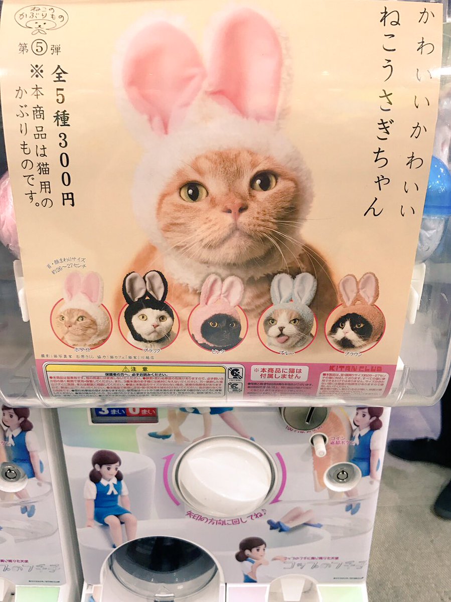 キタンクラブ公式 Twitter પર 先行発売 ねこのかぶりものシリーズ第5弾 かわいい かわいい ねこうさぎちゃん キデイランド原宿店にて先行発売中だにゃ 一般発売は12月上旬だピョン