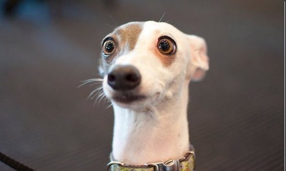 selenadpr's tweet image. j'ai plus les mots