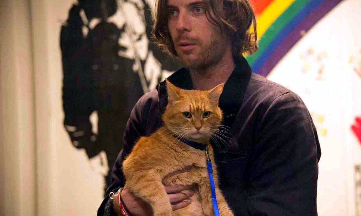 beer_filmnight's tweet photo. enjoyed heartwarming tale of @StreetCatBob in @vuecinemas #staines with great performances from @LukeTreadaway @JoFroggatt &amp;  #StreetcatBob https://t.co/0q9BHYaUFS