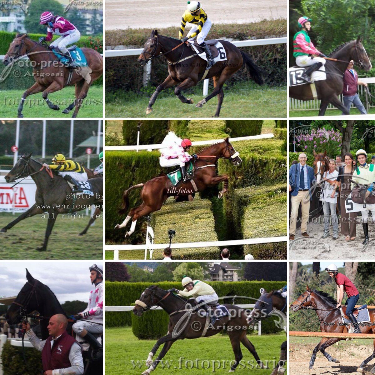 Mon écurie
#écurie #cheval #chevax 
#écuriegiasat