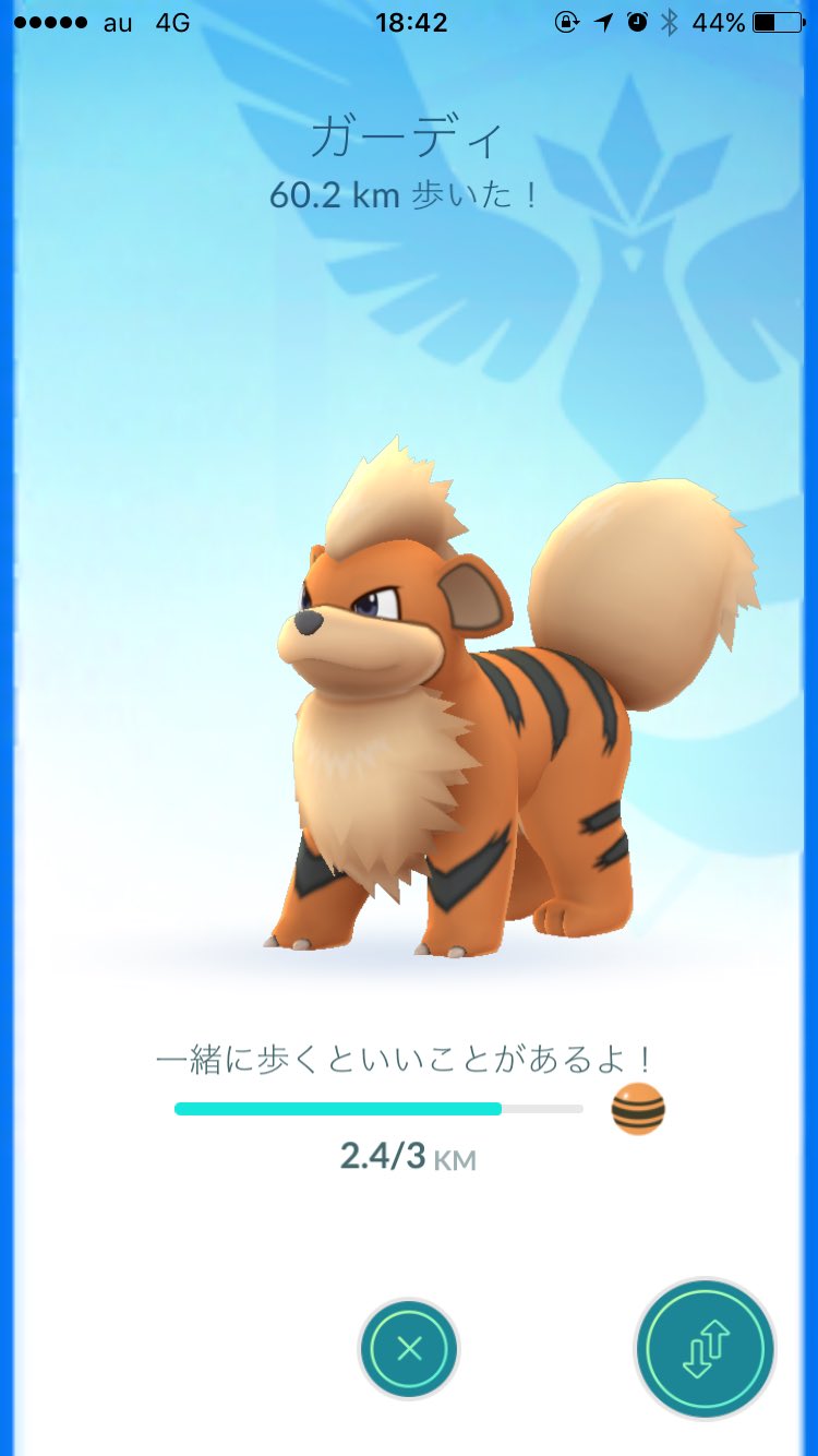 木霊楓 こだまかえで エコウ Sur Twitter 新ポケモンイワンコ可愛いけど ぼくはガーディを連れてます ポケモン Goでも相棒さ 対をなすロコンはアローラのすがたを得たけど カントーのすがたのまま ブレない君に決めた