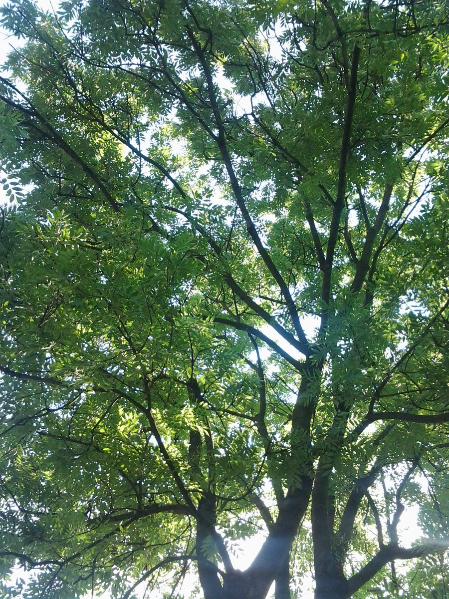 Zuza151's tweet photo. #Flashback #sunnyafternoon #summer #reading #books #takemeback https://t.co/i8CMwhG3QQ