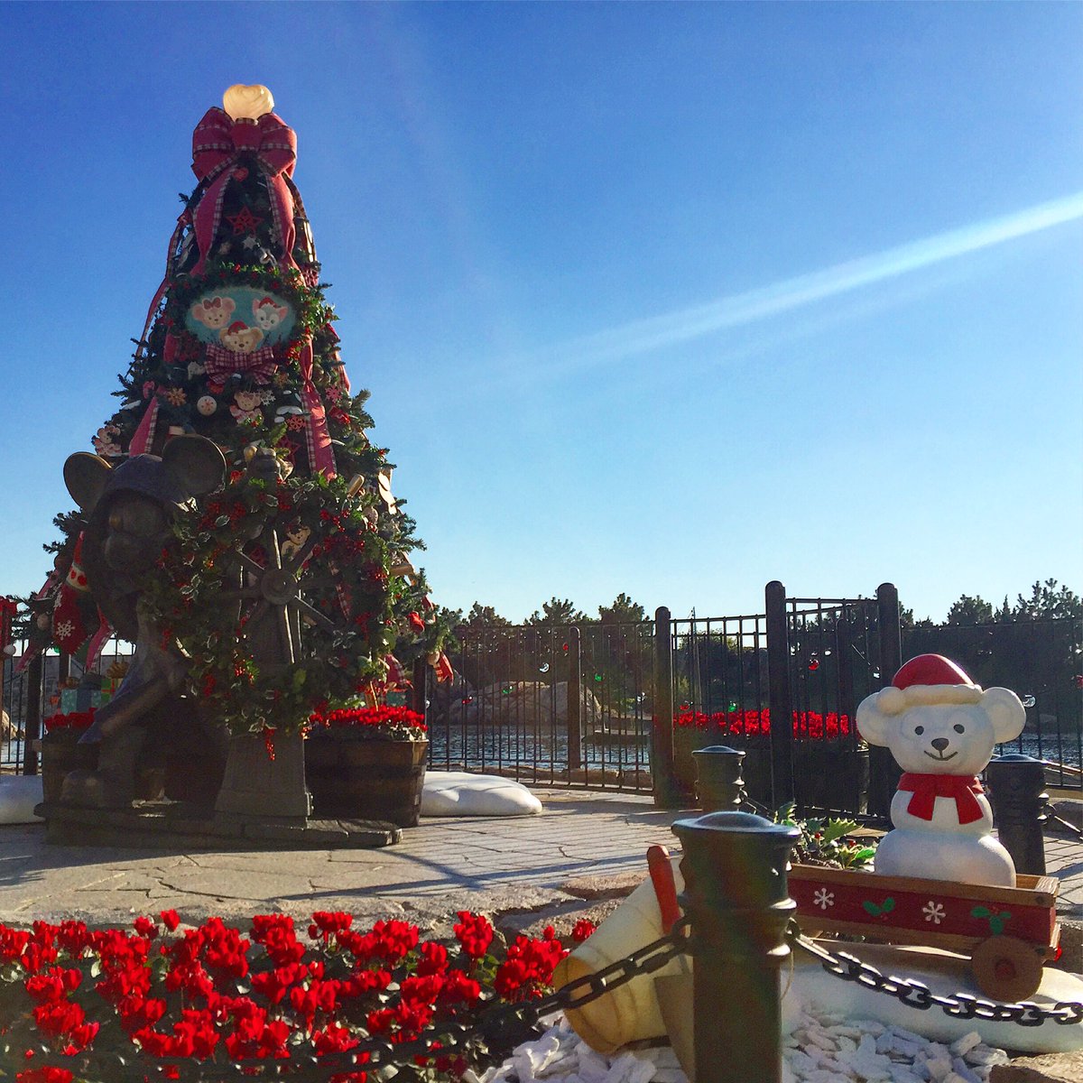 五井ヒロト Twitterren 東京ディズニーリゾートの景色213 ディズニー クリスマス ウィッシュの景色 こちらはアメリカンウォーターフロントのケープコッド 北米のオシャレな港町の一角にあるクリスマスツリー 高さら低くて可愛らしいツリーは ダッフィーと