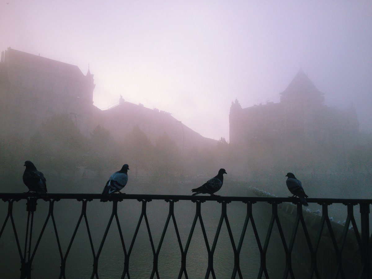 mcatalaortuno's tweet photo. Hidden Prague #studyinprague #SiPGoPro16 #prague #prague2016 #photography https://t.co/RL8csvn632