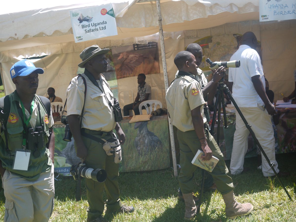 African Birding Expo tweet media