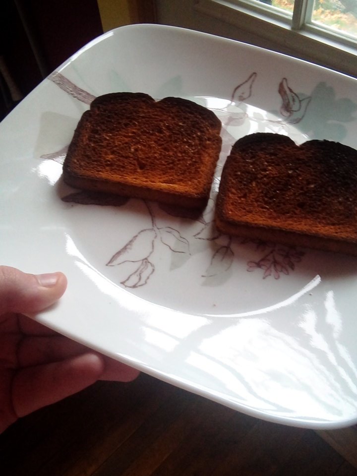 "Hey, I made some toast, @ATraitorousClod! Want some?"