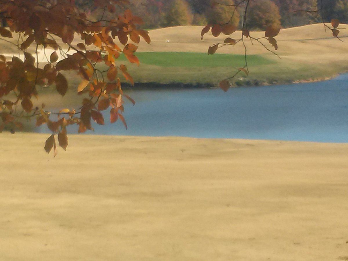 GolfTradition's tweet photo. Anybody want to hit this shot? https://t.co/9U4bY1crrB