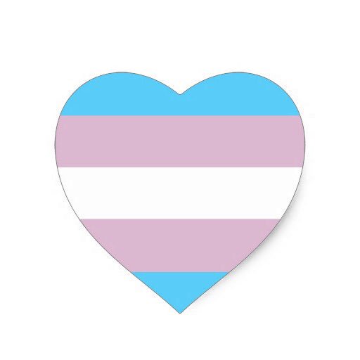 Today is Transgender Day of Remembrance, a time to honor #trans lives lost to senseless violence. #TDOR