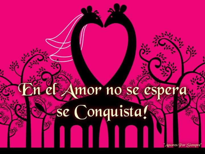 Mariela32612583's tweet photo. #CONQUISTEMOS!☺😊😆💕#love https://t.co/3lxLJWyPlT
