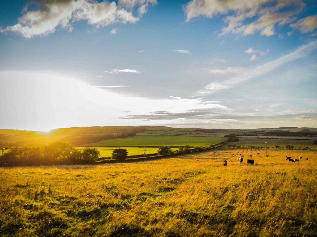 cdavidsonvisual's tweet image. Sunday Sunsets 🌅#northumberland @alnwickgazette @NorthumberlandH @2northumberland
