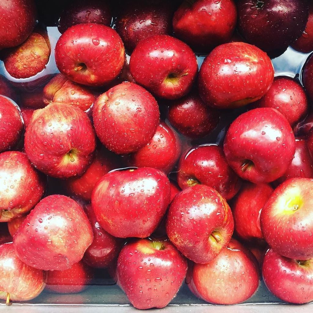 bethencourtBOS's tweet photo. #cider is coming!!! 😁
#homebrew #instacider #apples #organic #hardcider #acton #massachus… https://t.co/yRDfRevOxW https://t.co/qOiwewqidh