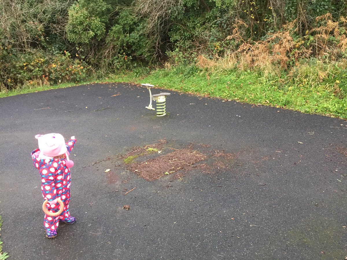 Took my daughter to Mynyddygarreg park, lucky there was no queue. She is 2 next month promised a park way before she was born.<a href="/CarmsCouncil/">Cyngor Sir Gâr</a>