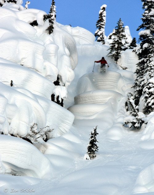 ThePowderHour tweet picture