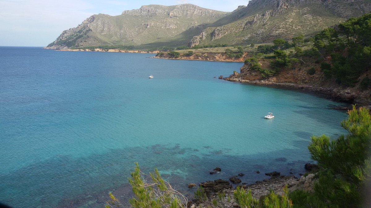 1tomas3's tweet photo. Tranquilidad total. De paseo por Na Clara de Sa Colonia de Sant Pere https://t.co/CYcFby9BSl