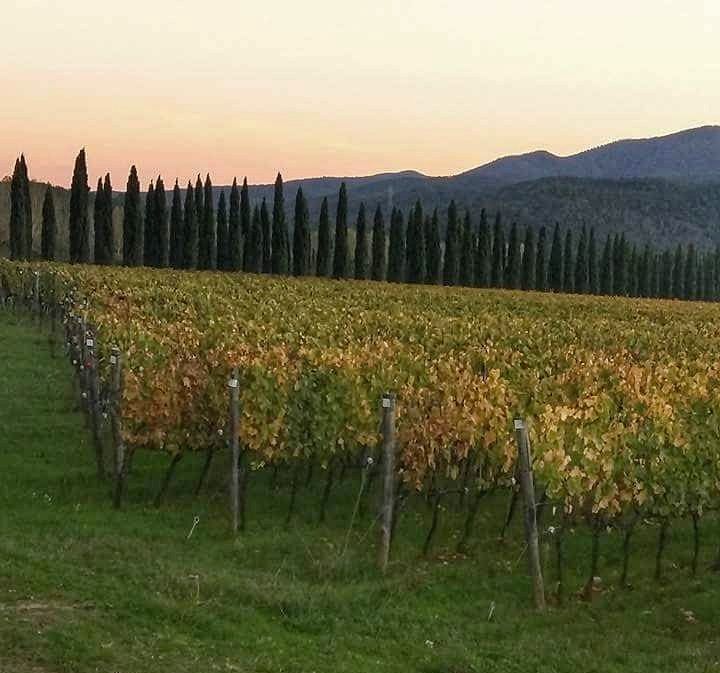 ItaliAnaGrassi's tweet photo. Final de tarde na Toscana - registro de  Alessandra Leite, durante a Viagem Cultural ITALI… https://t.co/wrP7smgX19 https://t.co/D7pk21HFhC