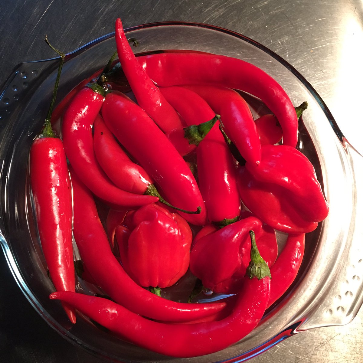 marijnthvdb's tweet image. Om vanavond weer lekker op temperatuur te komen met een gastvrij #Indisch gedekte tafel met huisgemaakte #Sambals #SelamatMakan @jtcnieuws