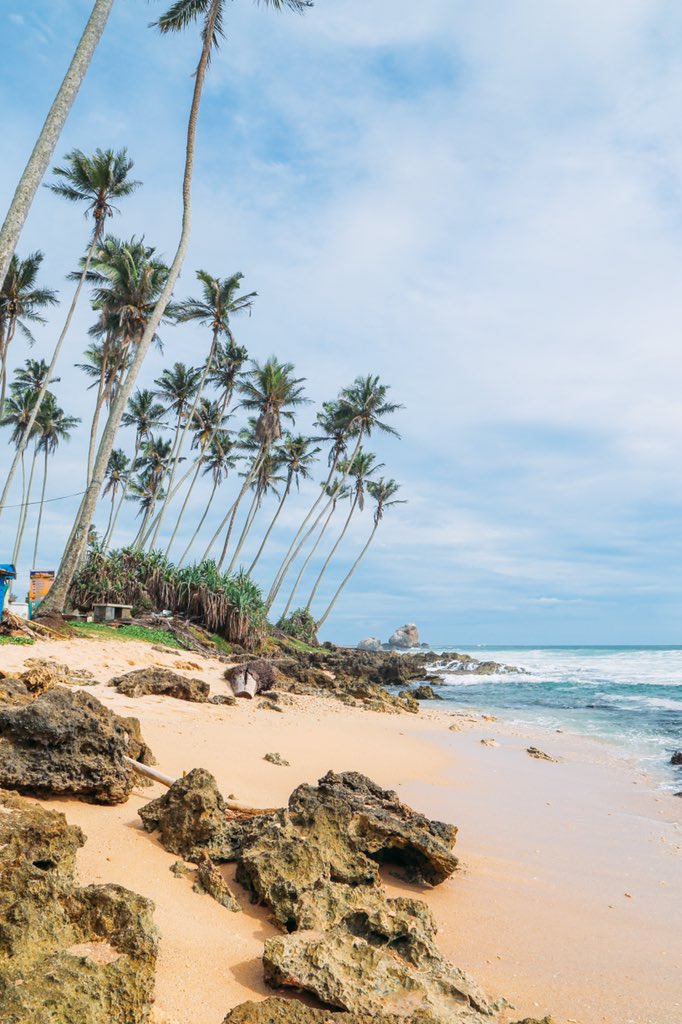 Palm trees for days...😍

#Travel #DiscoverYourSmile #SriLanka <a href="/ThomsonHolidays/">TUI UK</a>