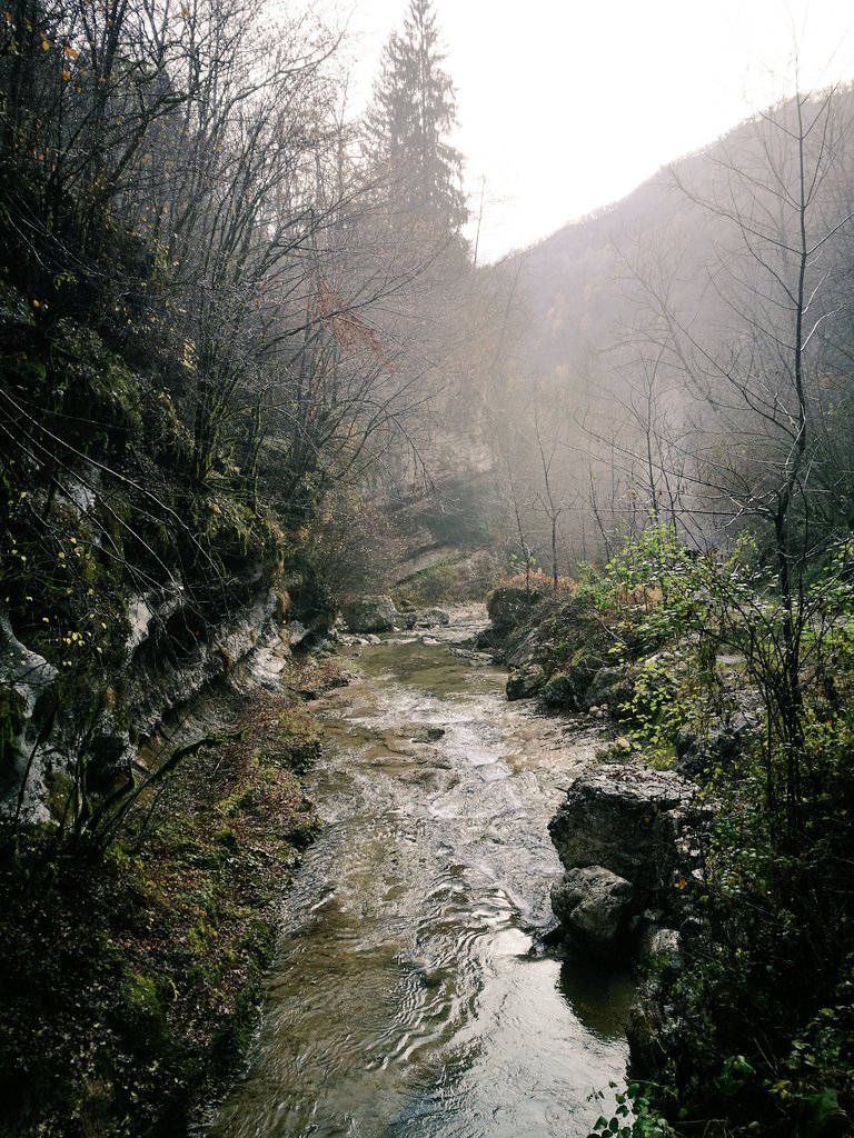 lucavivan's tweet photo. #PassiParole in #ValColvera, tra le foschie e il silenzio dei boschi d'autunno, in cerca di storie e di agane, spiriti dell'acqua https://t.co/xFDHwIw52x