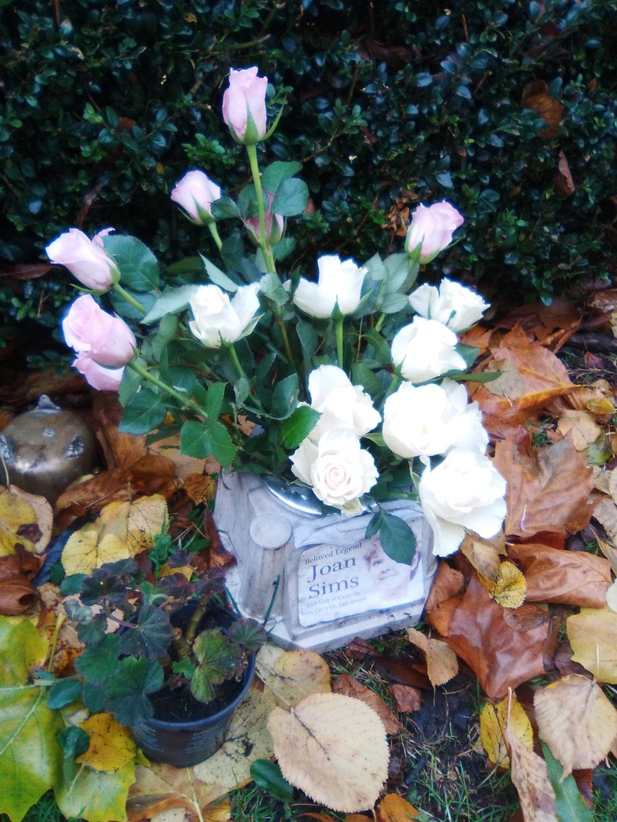 lovinRik's tweet photo. Pink n white roses for a beautiful lady π @CarryOnJoan #PutneyVale https://t.co/9UFJ0fz5uQ