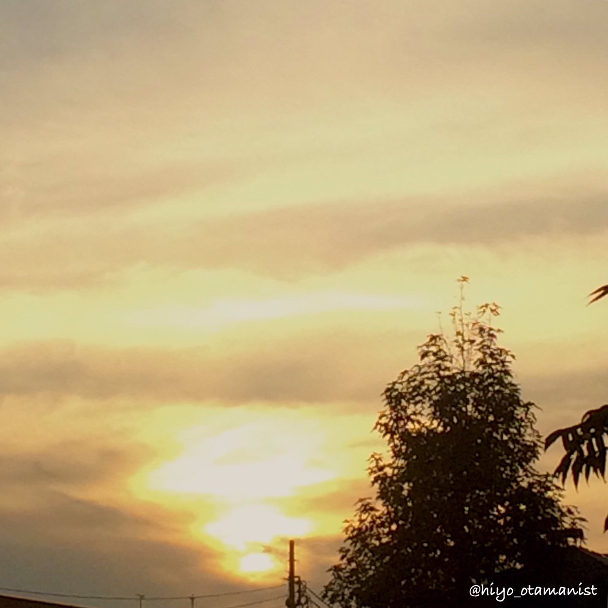 hiyo_otamanist's tweet photo. #夕陽 [Nov. 20, 2015] #mysky #sunsetjp #夕空 

輪郭がぽわんとした☀️でした。 https://t.co/tXvGlosMvK