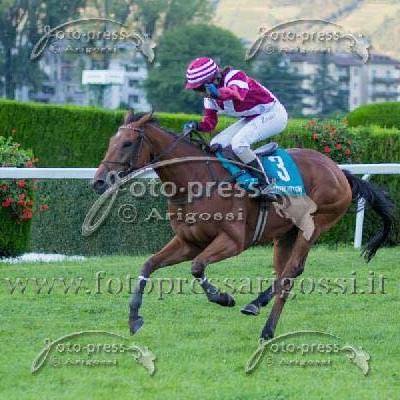 #moi #Gagner #moncheval #highpitch #tattersalsales #gentlemanrace #Horsesrace #italy #merano #giasatostacoli