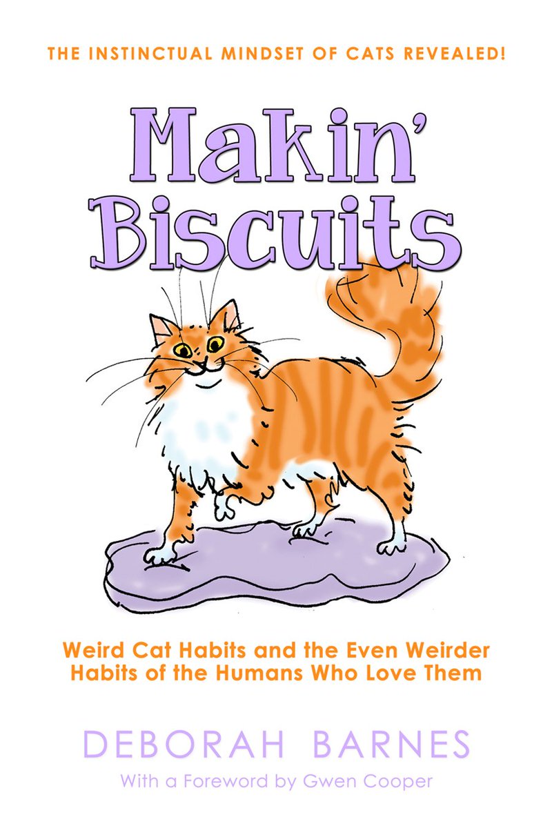 Makin_Biscuits's tweet photo. Available on @amazon what's your weird #cat story? #lolcats #booklover #sundayfunday #CatsOfTwitter https://t.co/NRvTM22WQV https://t.co/xIjv15q1kt