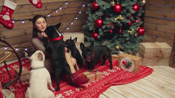 Nulled_Warez's tweet photo. #Girl Playing With #French Bulldogs ... - #ADcour #Bulldog #Christmas #Cute #Dog #Feed #Gift #Home #Love https://t.co/gLQm2Wp6mJ https://t.co/T2Wn9BWbg5