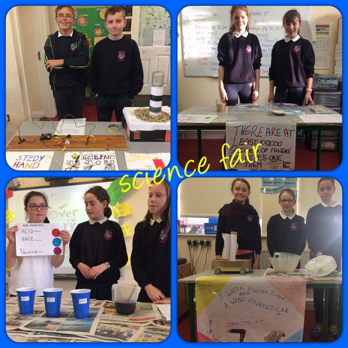BallinderreenNS's tweet photo. We had a great science week. Here are some photos of Ms. Toner's science fair on Thursday. #scienceweek2016 https://t.co/TuyvrTEYzV