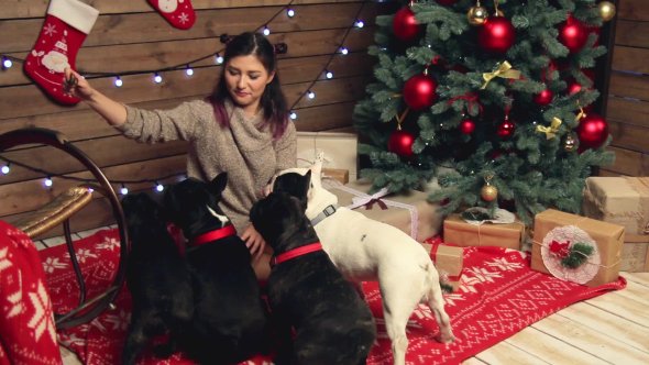 Nulled_Warez's tweet photo. #Girl Playing With #French Bulldogs At ... - #ADcour #Bulldog #Cute #Dog #Feed #Gift #Home #Love #Merry https://t.co/fH54C2sccB https://t.co/1d252ScPgb