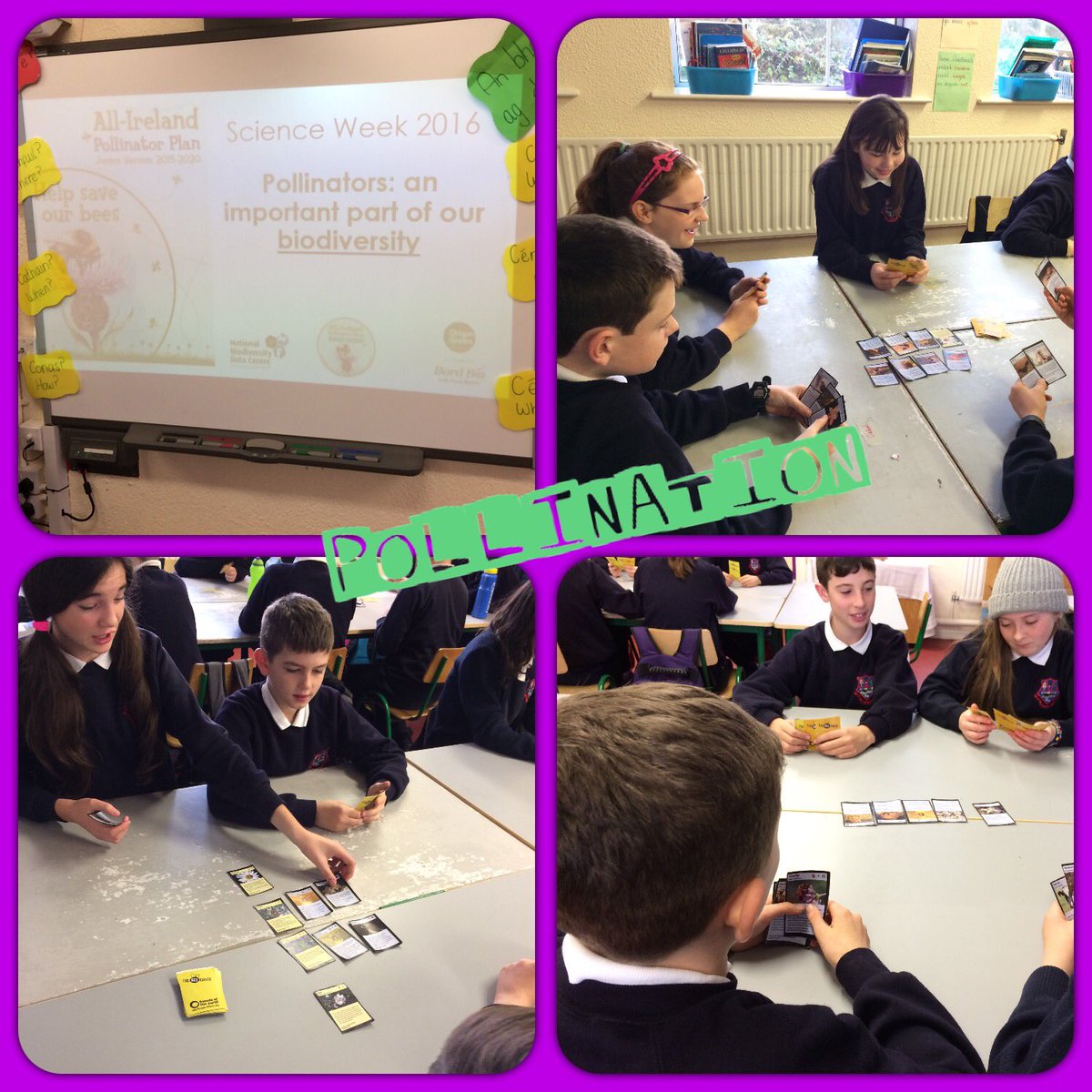 BallinderreenNS's tweet photo. We learned how important pollinators are and 5th & 6th planted some knapweed to help out the bees. #scienceweek2016 https://t.co/4mPt4hRqje