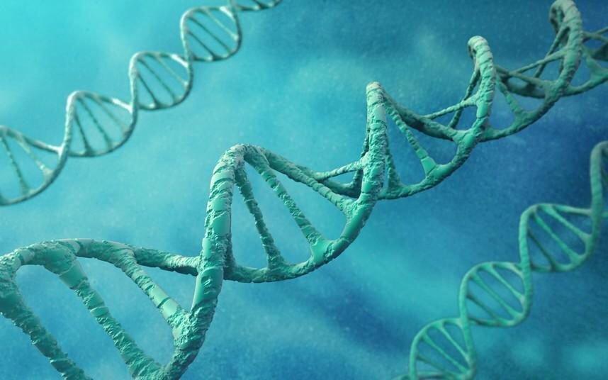 New era of 'cut and paste' #humans close as man injected with genetically-edited #blood goo.gl/nWmpU1