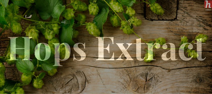 HealthMagReview's tweet photo. #HealthMag #HealthReviews #Hops #HopsExtract #HopsBenefits #HopsSideEffects
https://t.co/CsiDH075wV https://t.co/Q0GENyy9pP