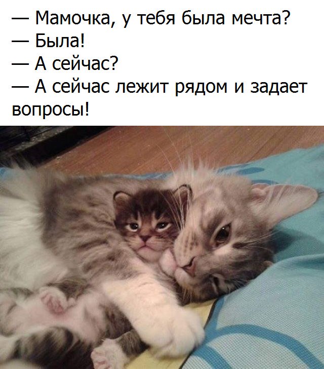 А у вас есть мечта?
