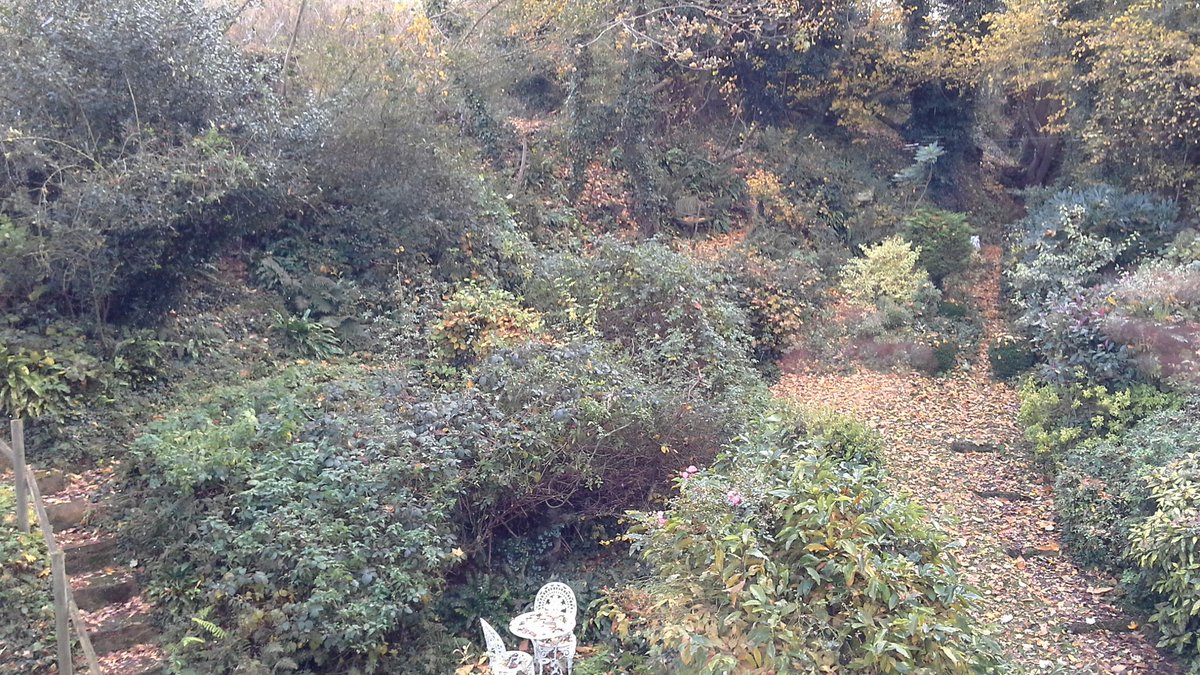 grenvilleallen's tweet photo. After #HurricaneAngus here in the #RotherValley. 👇A lotta #sweeping, raking, #lifting & #biodegrading to do. #Outdoorgym💪... I'll say😯❗ https://t.co/D9IIIET76K