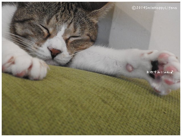 Twitterで画像を見る