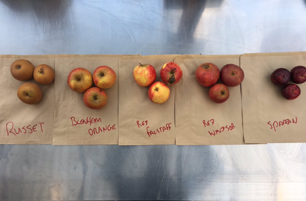 dustys_pizza's tweet photo. Product testing for #christmasmenu which will be the best roaster? #woodfiredapples #mincemeat #butterscotch #icecream https://t.co/EzMh9xiNcN
