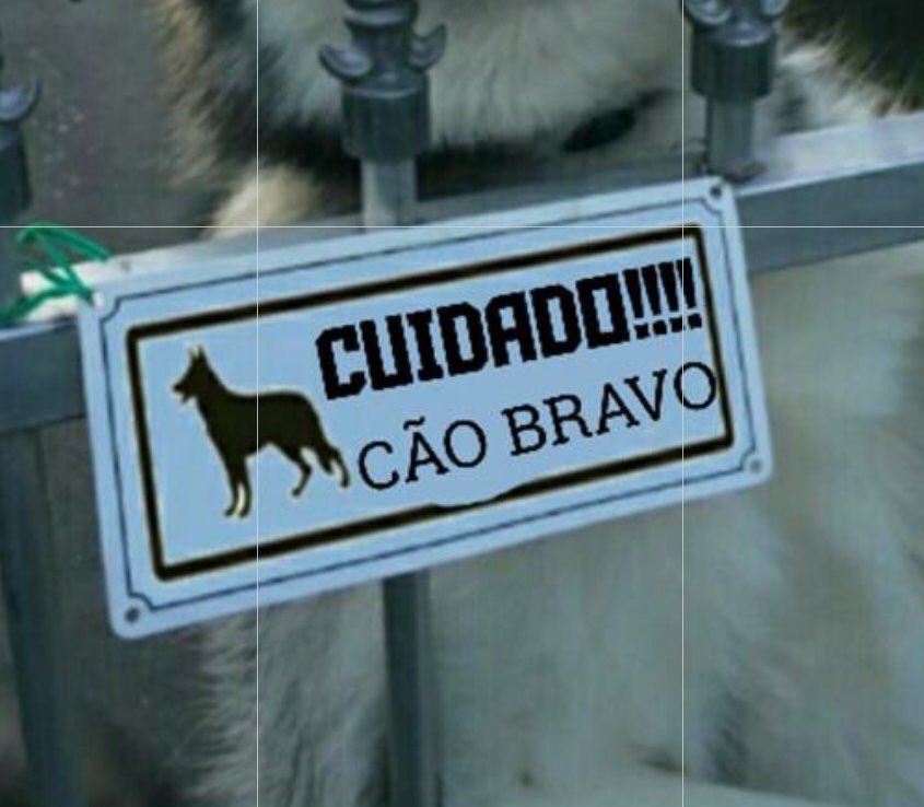 drogarei's tweet photo. como eu quero q as pessoas pensem q eu sou // como eu realmente sou https://t.co/qW05M8g468