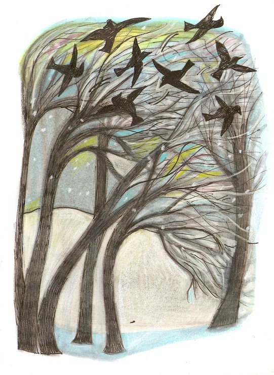 drawstuff's tweet photo. Not easy trying to land in a winter storm. #doodle #firstwinterstorm #novemberwinds https://t.co/bF0DEkjn2D