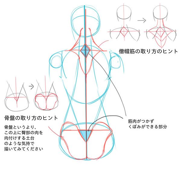 いちあっぷ By Mugenup クリエイティブ制作会社 背中の描き方講座 美しくてカッコいい背中を描けるようになろうぜ アタリが取れればカッコよく描ける 男女別 背中の描き方 いちあっぷ講座 T Co Ctknebvj9k 液タブ当たる機械学習