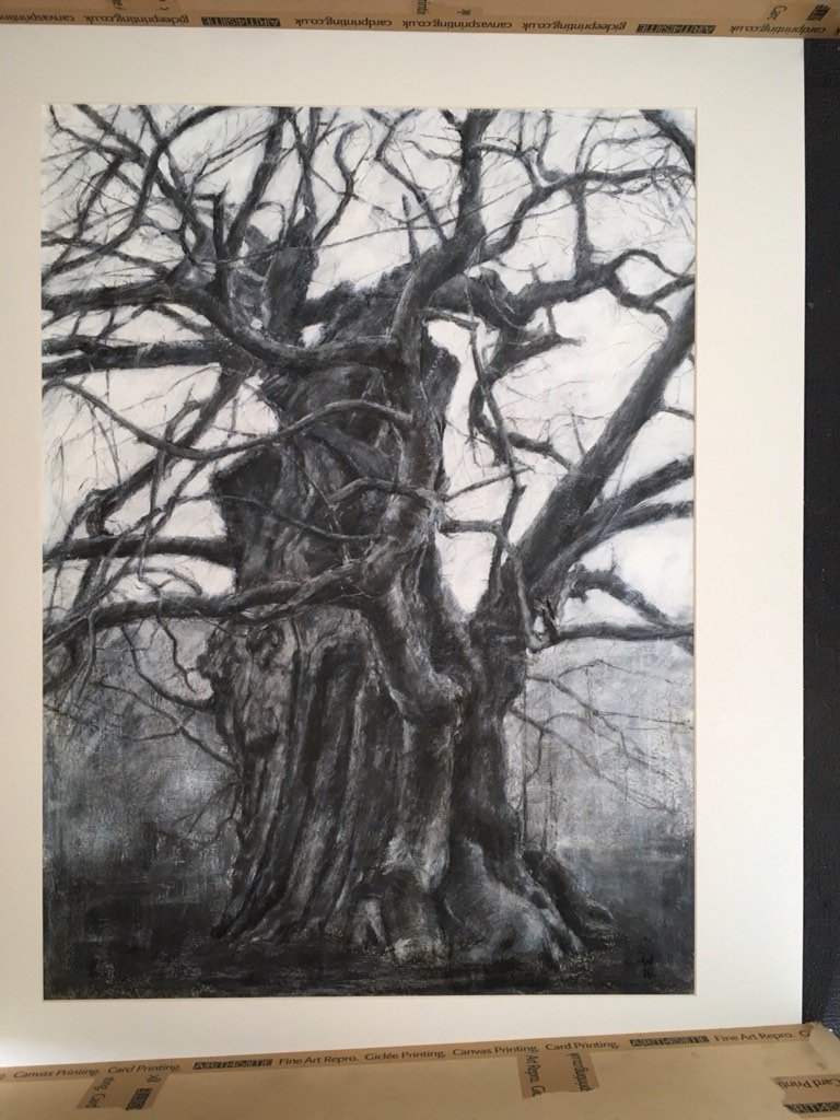 Stunning study of a #Greenwich Park tree by artist <a href="/David_Weekes/">David M. Weekes</a> on show <a href="/GoodPeterLee/">Good Shepherd Lee</a> <a href="/leeopenstudios/">Lee Green Open Studios</a> - My #DesignoftheDay