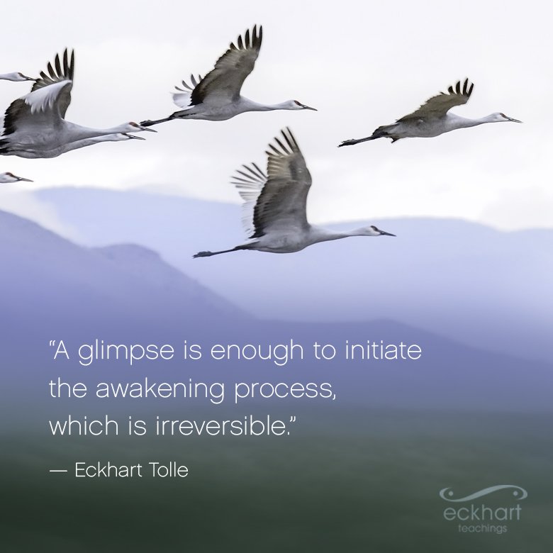 EckhartTolle's tweet photo. "A glimpse is enough to initiate the awakening process, which is irreversible." https://t.co/sUgvs8xtU9 #PresentMomentReminder https://t.co/J4Tpl6CUul