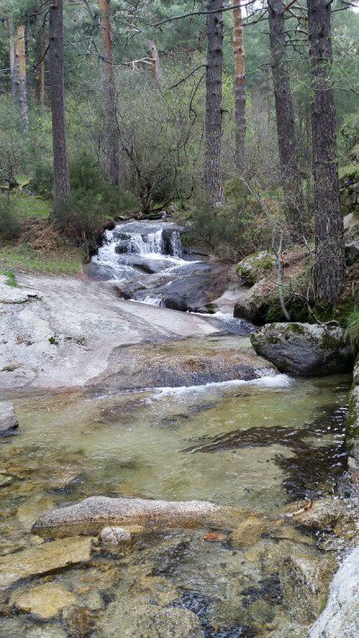 mktambiental's tweet photo. #Polinizadores están en declive, pero su desaparición es evitable https://t.co/i00YTiNpiO #IPBES4 #biodiversidad https://t.co/P01PSE1XCc