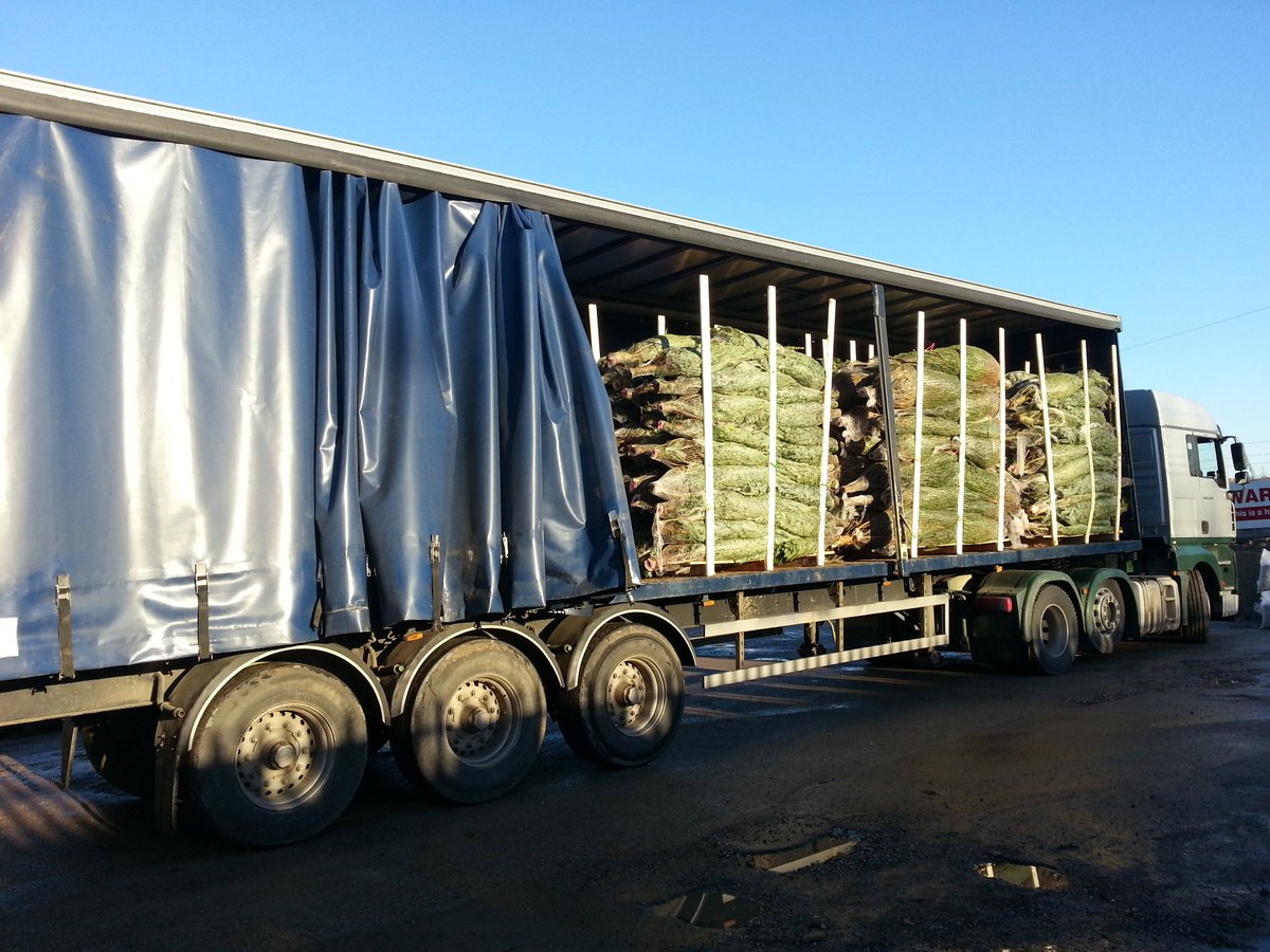 Gleaveshgc's tweet photo. Christmas Trees are on their way and will be arriving with us in the morning for us to display and then ready for sale on Tuesday - ho ho ho https://t.co/QnAQuqeZzz