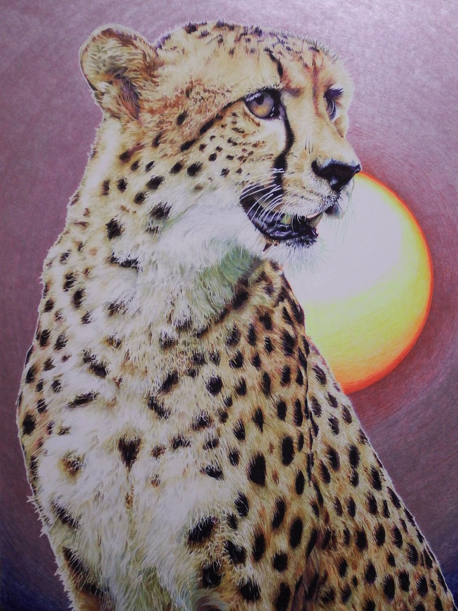 チーター　原画　#90 チーター⑨ 完成！！ いつも完成品はスキャン画像でアップしてますが