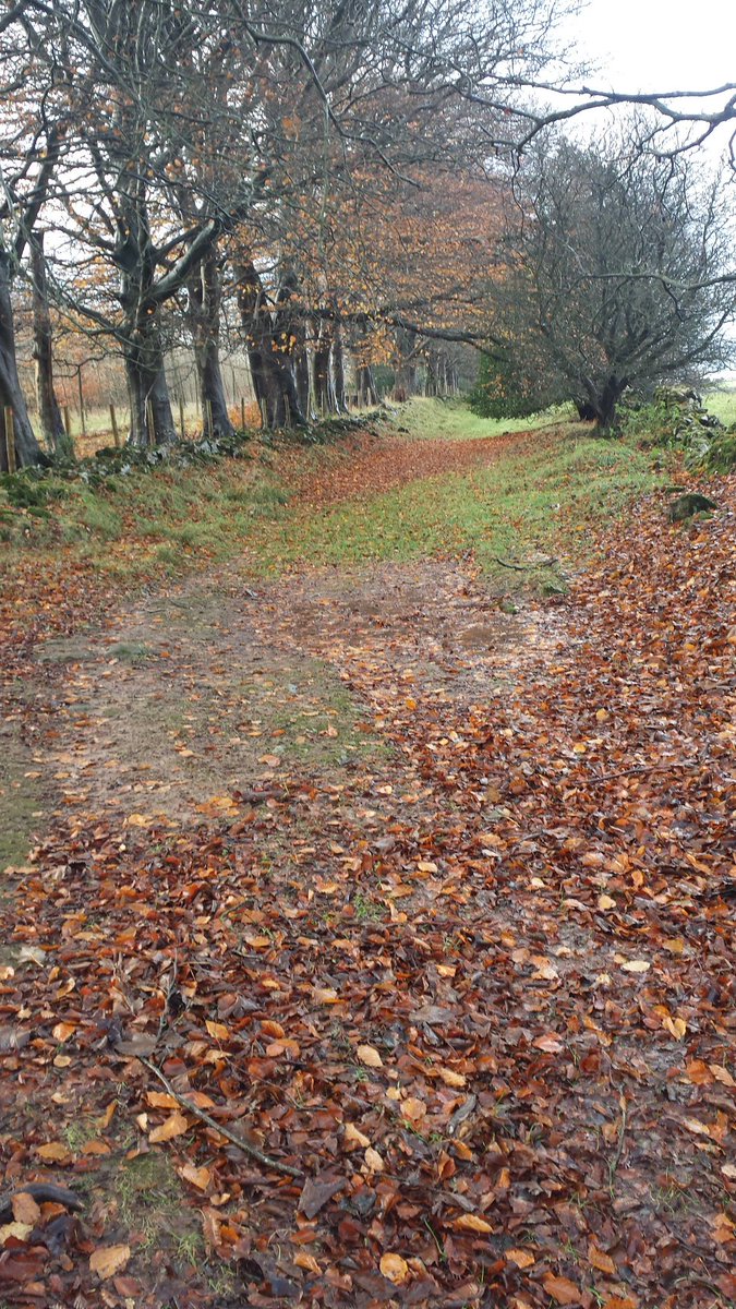 no1blakester's tweet photo. Few miles on the muddy #limestonelink this morning from Burrington Ham to west Harptree https://t.co/CAjjBLgHFC