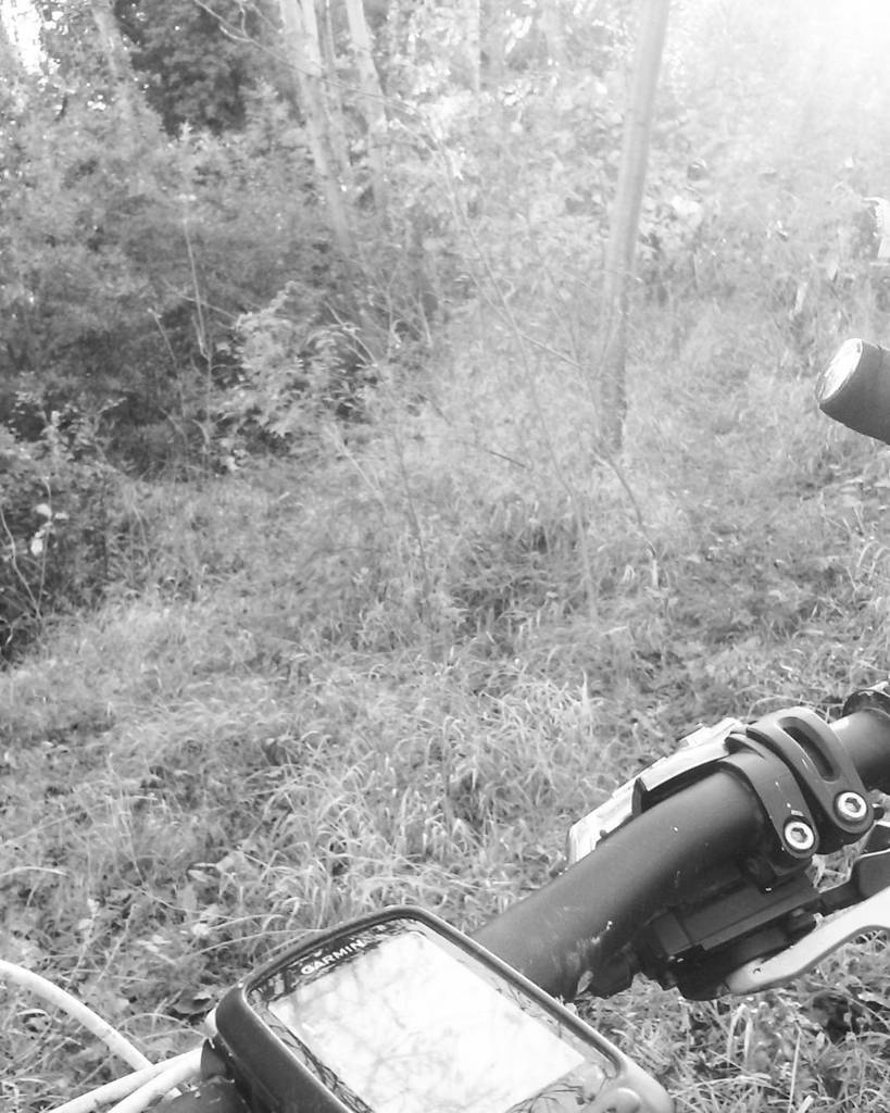 andrea19801's tweet photo. Today wild mode ;) #mtb #trail #outroad #notrails #training #friends #team #eliosclan #eli… https://t.co/C7hHnTx7p4 https://t.co/4VKRvgCAaw