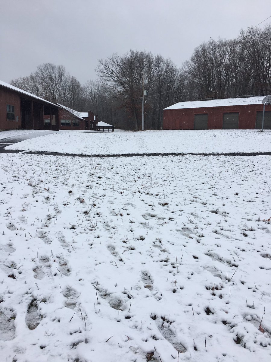 par_mvp's tweet photo. I swear it was 70 degrees yesterday #NFTYPARFALL https://t.co/hgzlHdnPJQ