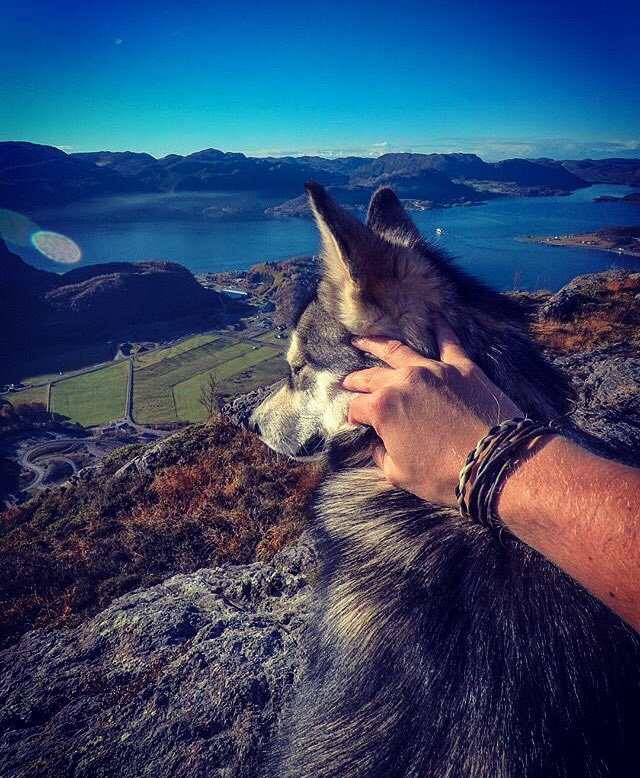 CookesPremDogs's tweet photo. Sunday adventures with your best friend. Which countries you have been adventuring in today? 🌳🐕 ⠀⠀
#CookesDog https://t.co/9cmJ9yGsjn